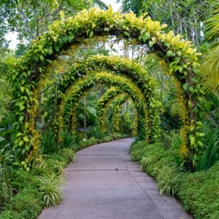 Lush Gardens